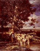 unknow artist Sheep 089 china oil painting reproduction